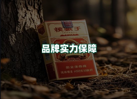 核心优势